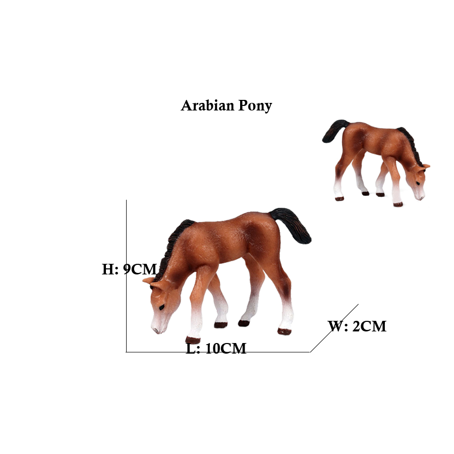 Figurines de cheval d'Auckland - Sandbox Play Set avis et prix