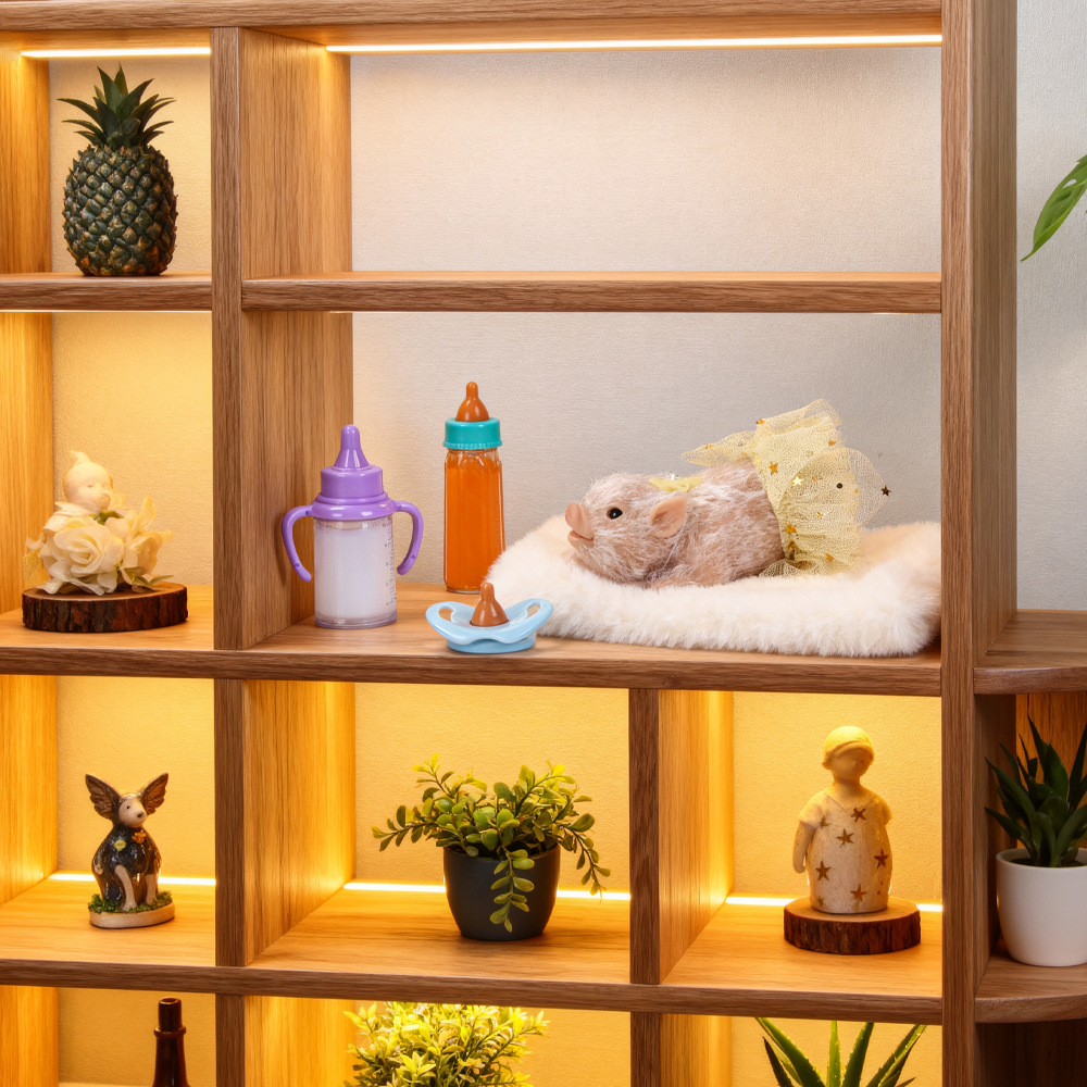 Mini cochon en Silicone pour b - Kids Toys House avis et prix